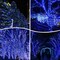 500 LED Christmas Lights, 164FT 8 Twinkle Modes Plug in Waterproof Extra Long Fairy Lights for Outdoor Christmas Tree Lights Party Garden Decorations (Blue and White)